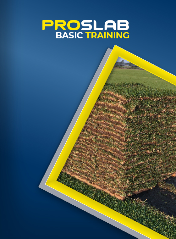 ProSlab Basic Training